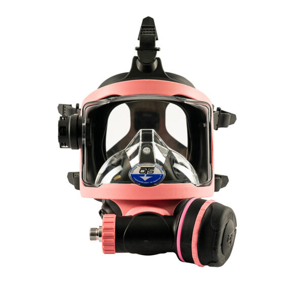 Guardian Full Face Mask