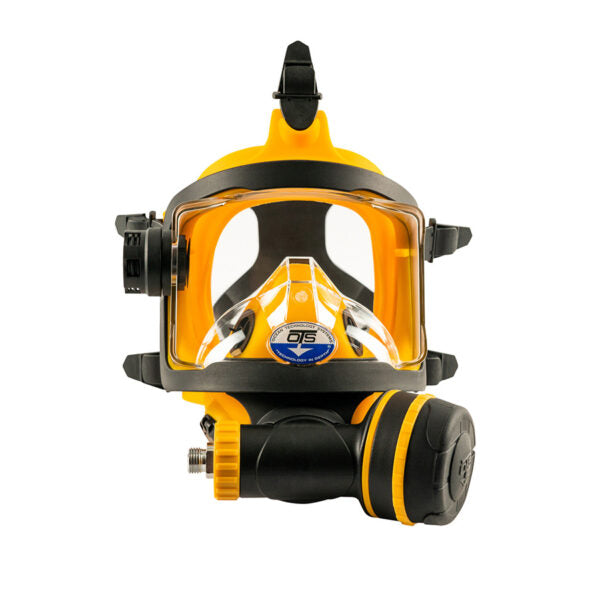Guardian Full Face Mask