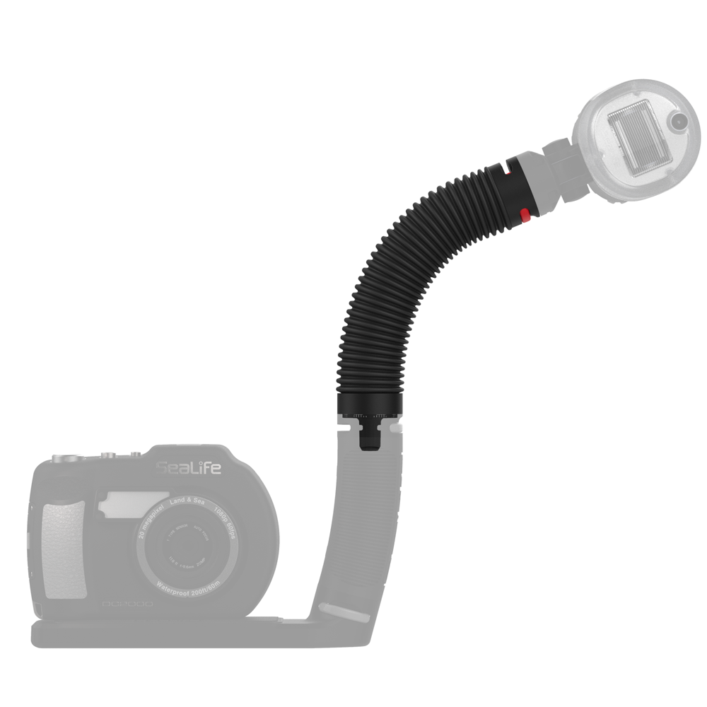 Flex Connect Arm Sea Life