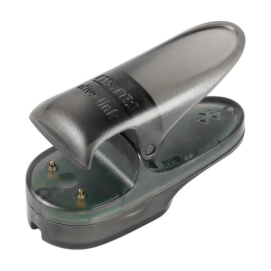 BlueLink Pro Interface