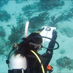 PADI Underwater Navigator Specialty Course