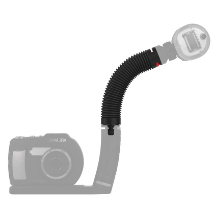 Flex Connect Arm Sea Life